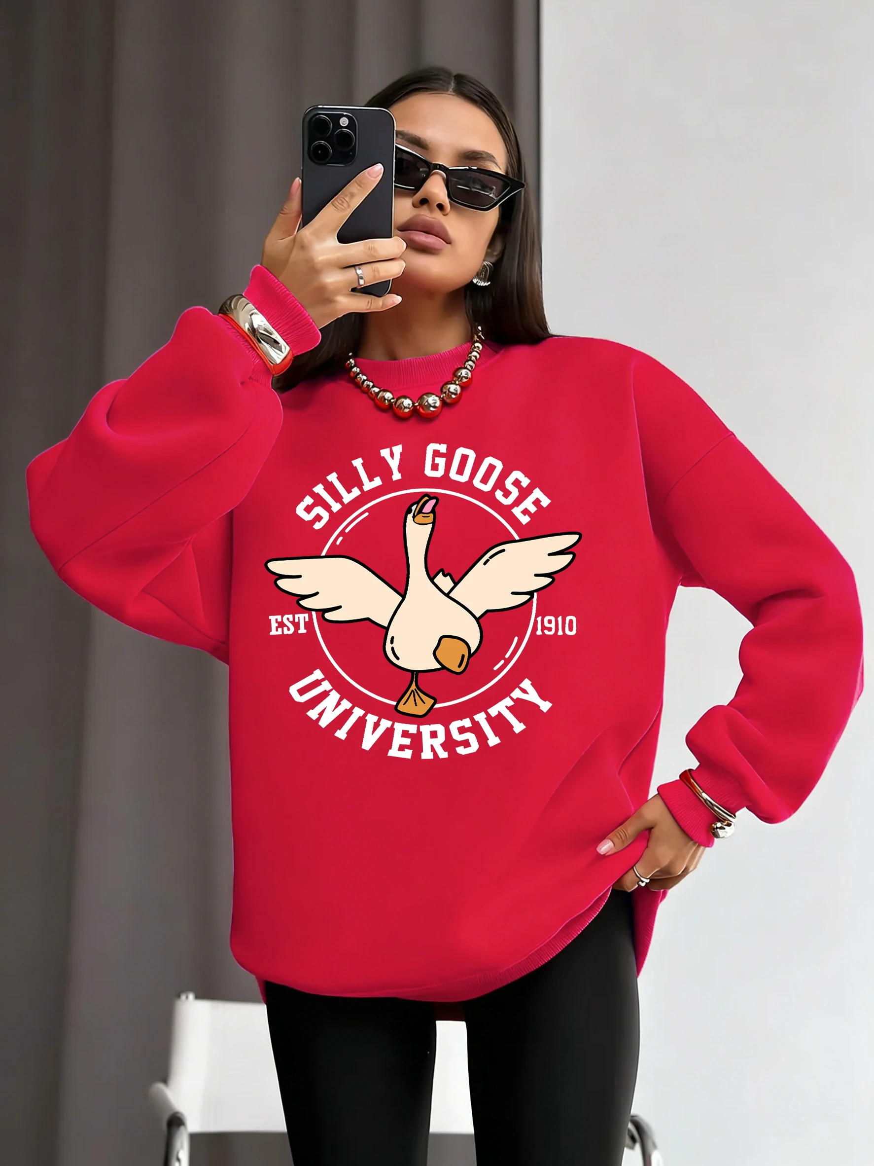 

Повседневные толстовки с принтом университета Silly Goose, женская спортивная одежда с круглым вырезом, удобные уличные толстовки, осенне-зимняя одежда