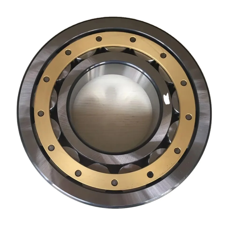 558830 Cylindrical Roller Bearings (F-31173 Available)