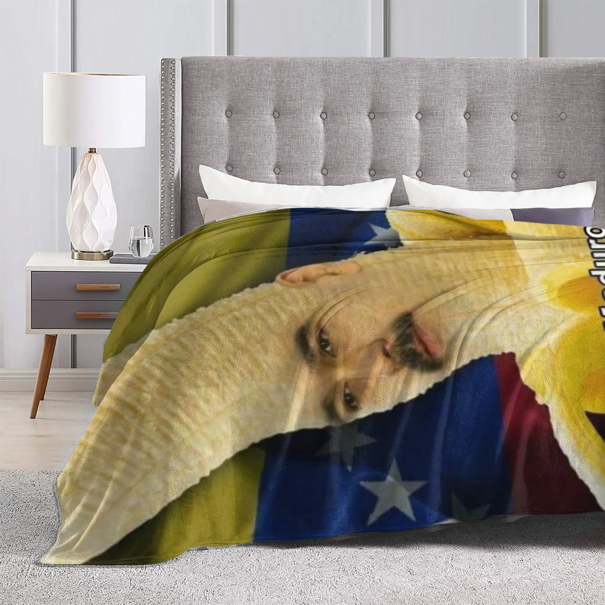 بيدرو سانشيز اسبانيا PSOE الموز بطانية ناعمة طائرة السفر أفخم الفراش يلقي ديكور المنزل الفانيلا المفرش أريكة غطاء سرير #3