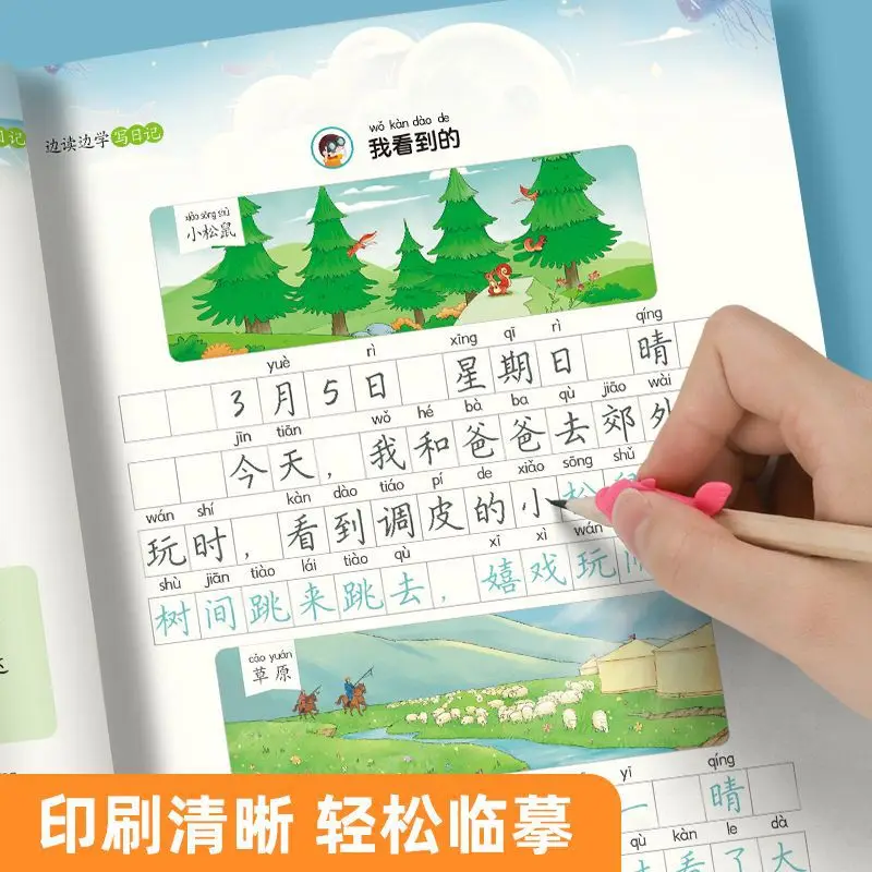 1-2 Grade One Sentence Diary, Read and Learn At The Same Time, Specialized Training in Writing Sentences Based on Pictures