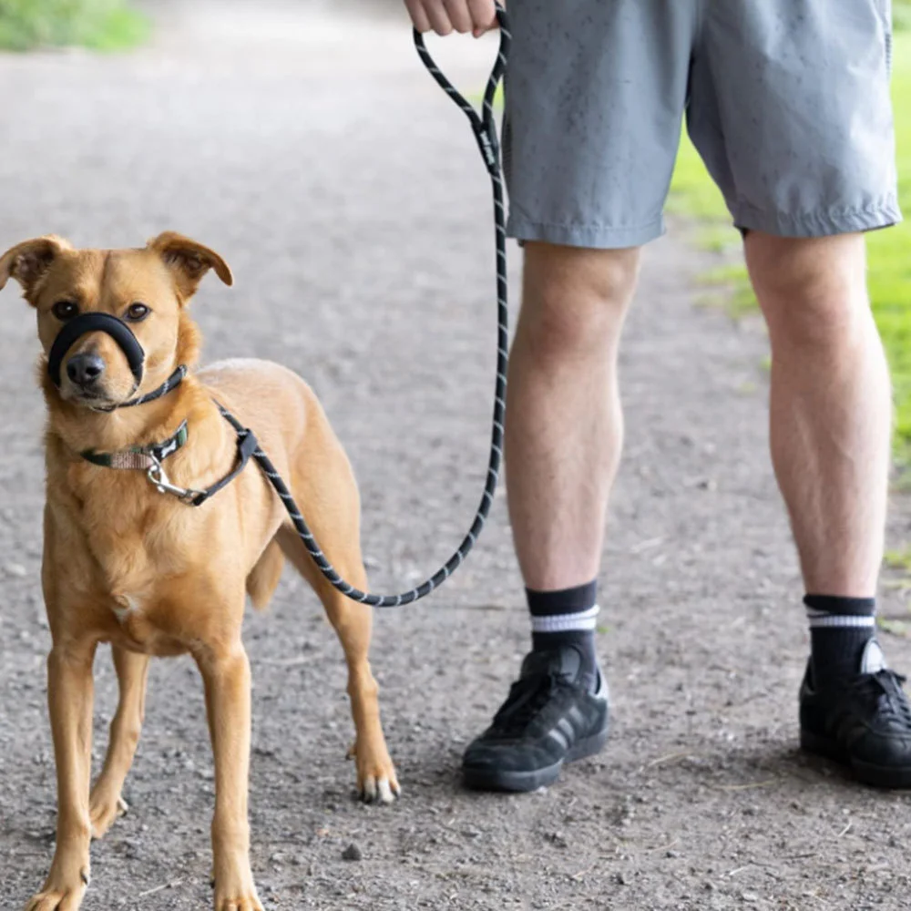Adjustable Nylon Reflective Dog Leash with Anti-Bite Muzzle, Anti-Pull Explosion-Proof Traction Rope for Medium Large Dogs