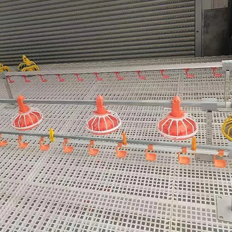 Customizable Poultry Farming Chicken Feeder Equipment Complete Automatic Broiler Feeding and Drinking Line Machinery