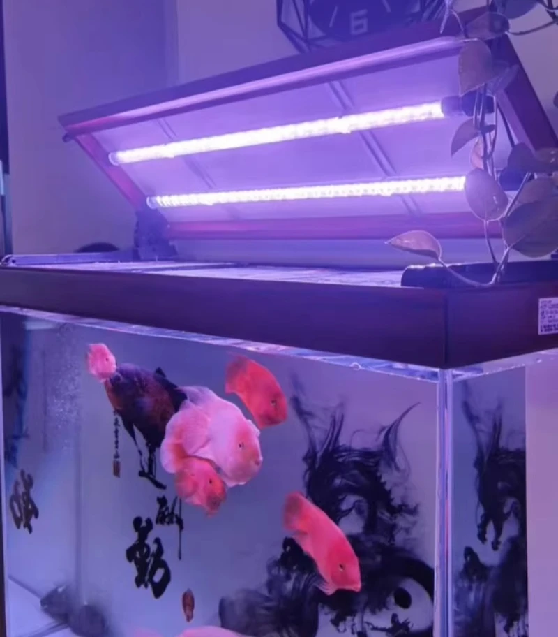 Aquarium LED Light Bar Multi Color Fish Tank Light 36/48 Inch Submersible LED Aquatic Grow Lamp Enhance Fish Hair Color Reef LED