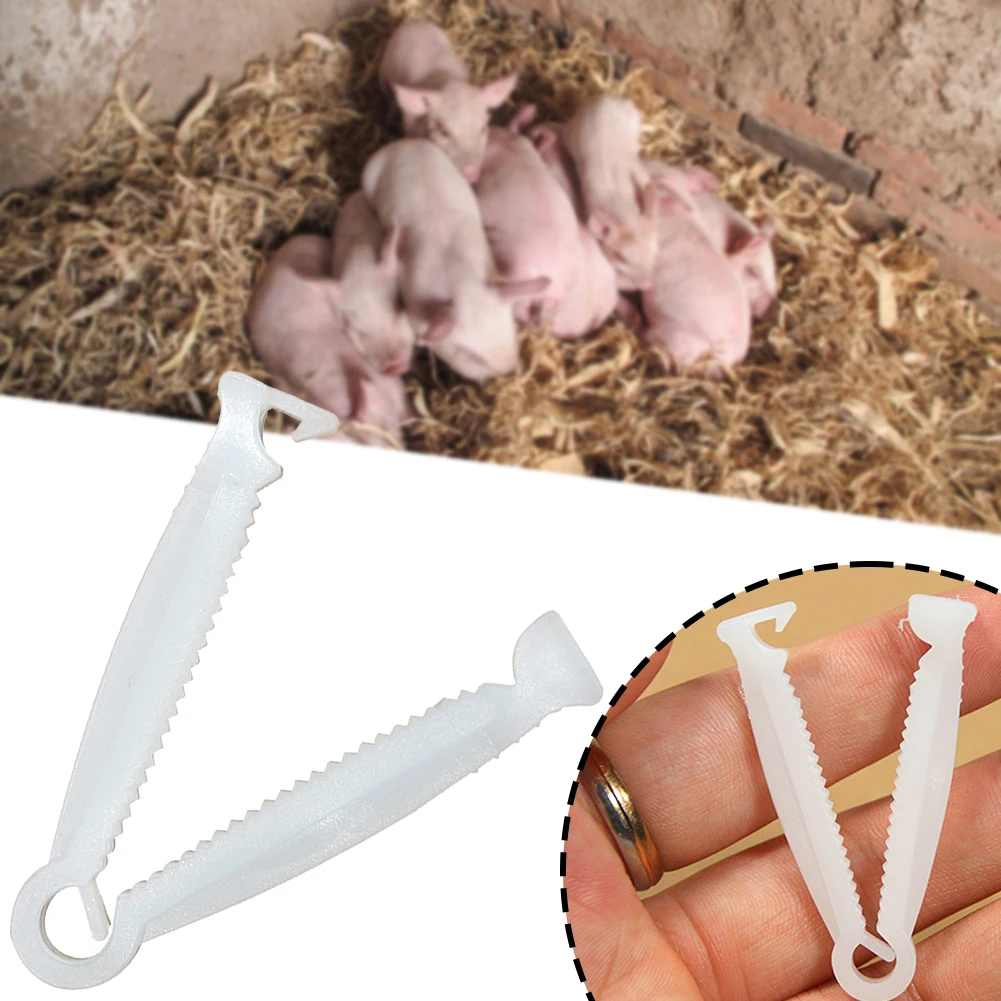 Plastic Umbilical Cord Clamps Disposable Livestock Birth Supplies For Puppies Lamb Piglet