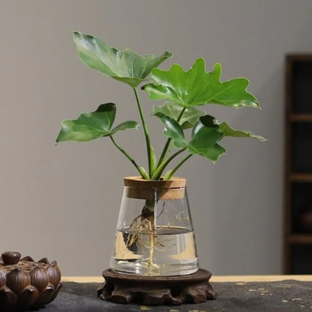 5Pcs Hydroponic Glass Vase Wooden Lid 6.5cm Center Hole Stable Stem Support Natural Material Desktop Water Propagation
