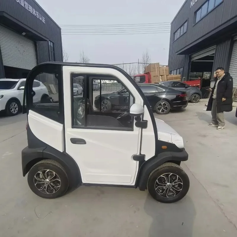 Compact Two-Door Four-Seat Electric Car with Color Options, Speed, and Range