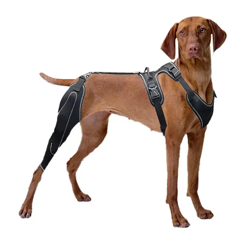 

Dog ACL Knee Brace Adjustable Rear Leg ACL Brace Dogs Back Leg Wrap Canine Care CCL Support Brace For Medium And Large Dogs