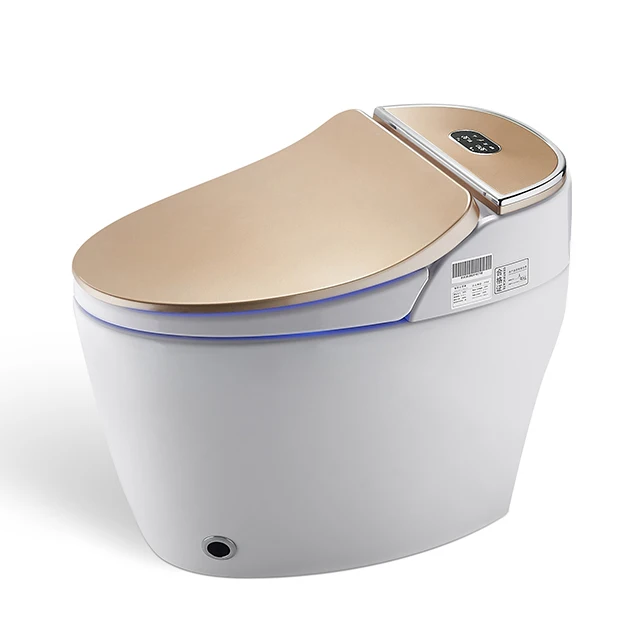 

Popular Remote Control Luxurious Floor Mounted Bowl Automatic Smart Wc Toilet