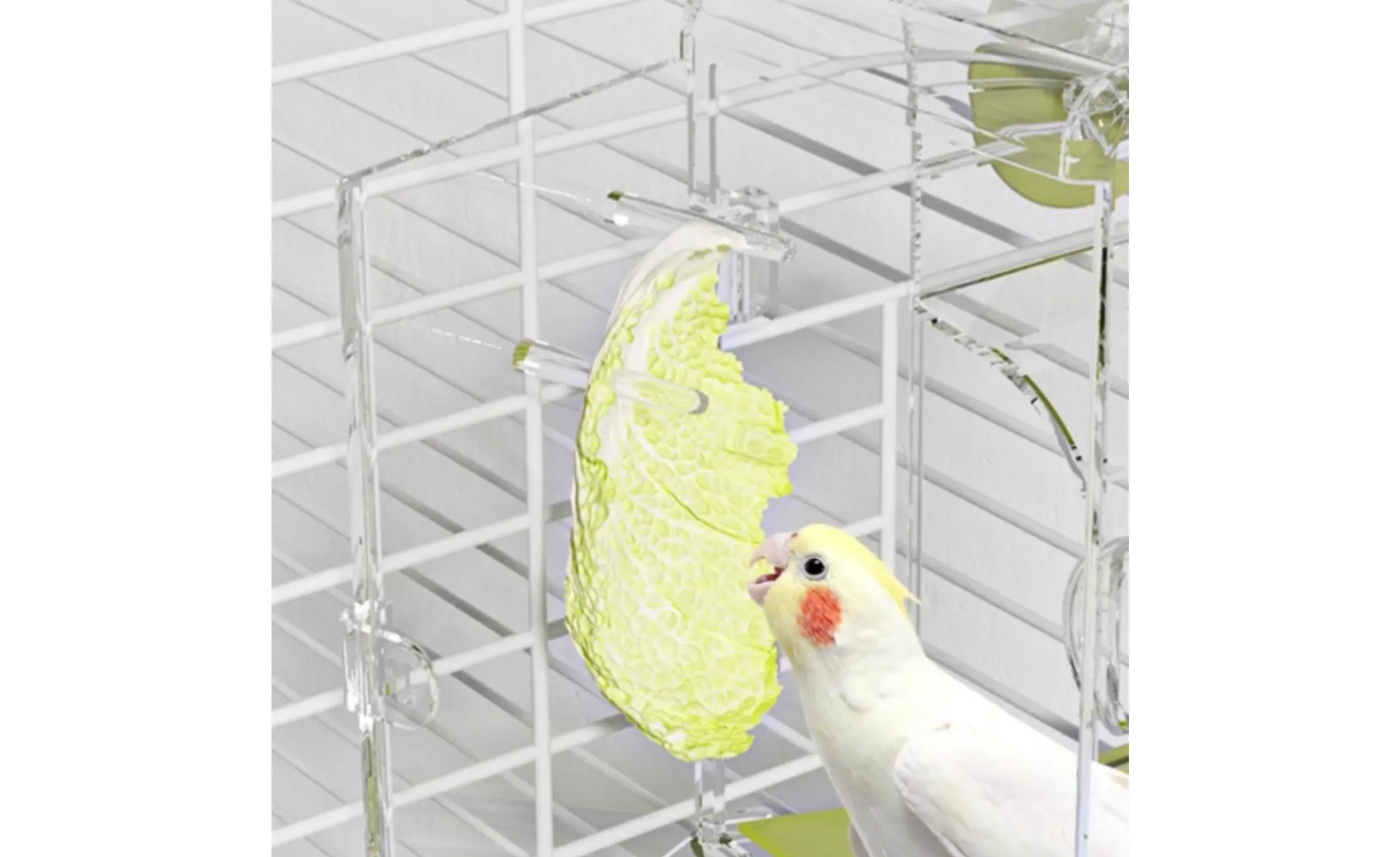 Seed Separating Feeder Splash-Resistant No Mess Bird Feeder Pet Supplies Easy to Install Seed Separating Feeder Splash-Resistant No Mess Bird Feeder Pet Supplies Easy to Install