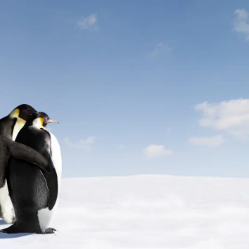 

Для MJX Hyper Go V2 10208 1/10 RC автомобили радиоуправляемые грузовики запасные части колеса в сборе