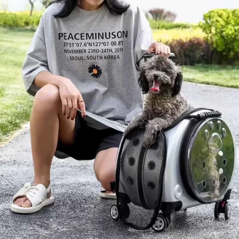 1pc Pet Outing Portable Transparent Trolley Box Backpack Fashion Large Capacity Dog Suitcase Carrying Shoulder Cat Bag