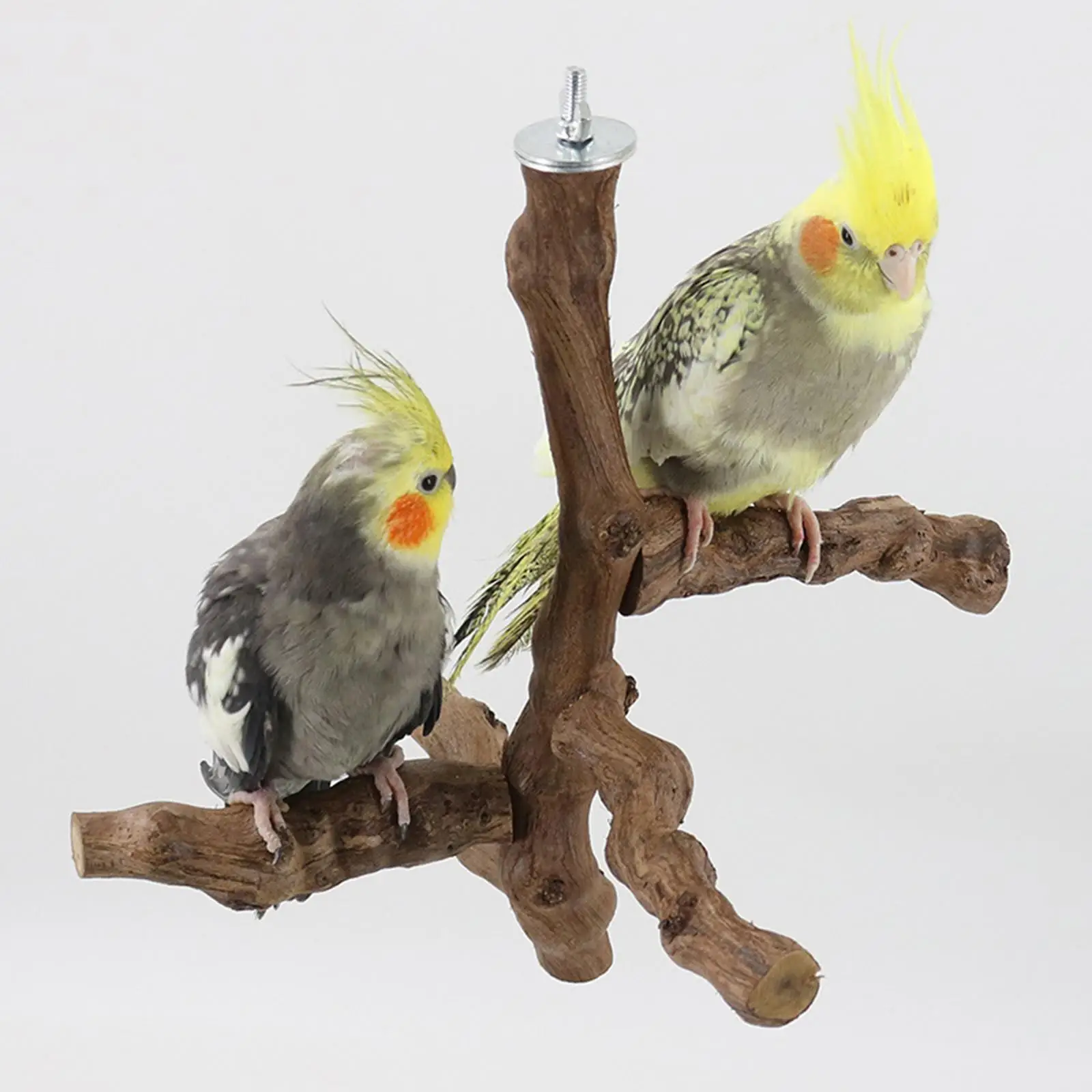 Wood Bird Perch Stand Hanging Parrot Perch for Cockatiels Macaws Love Birds