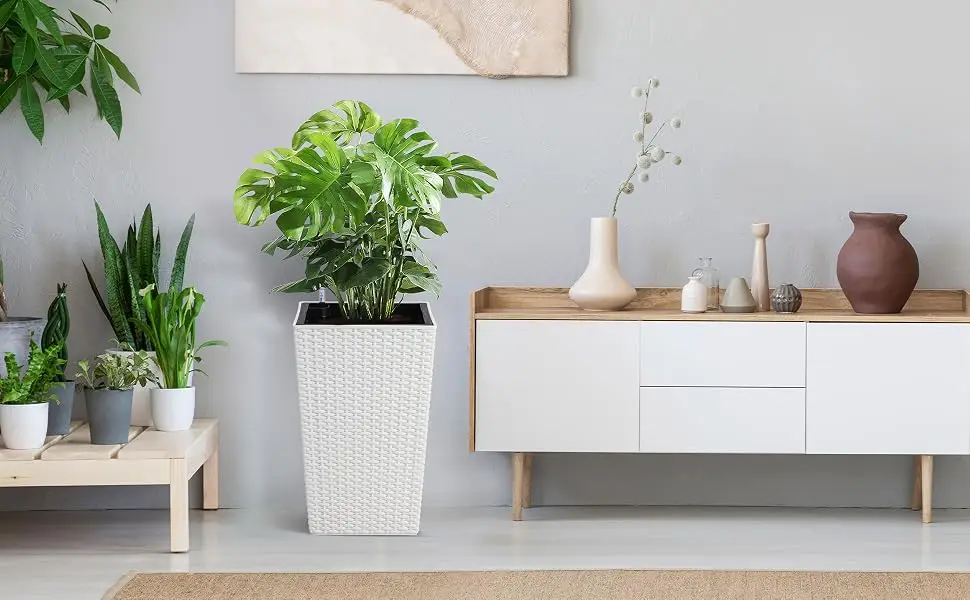 indoor planters for indoor plants