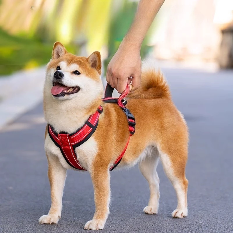 

No-Pull Dog Harness Adjustable Pet Vest for Small & Medium Dogs Padded Reflective Leash for Safe Walking Dog Supplies
