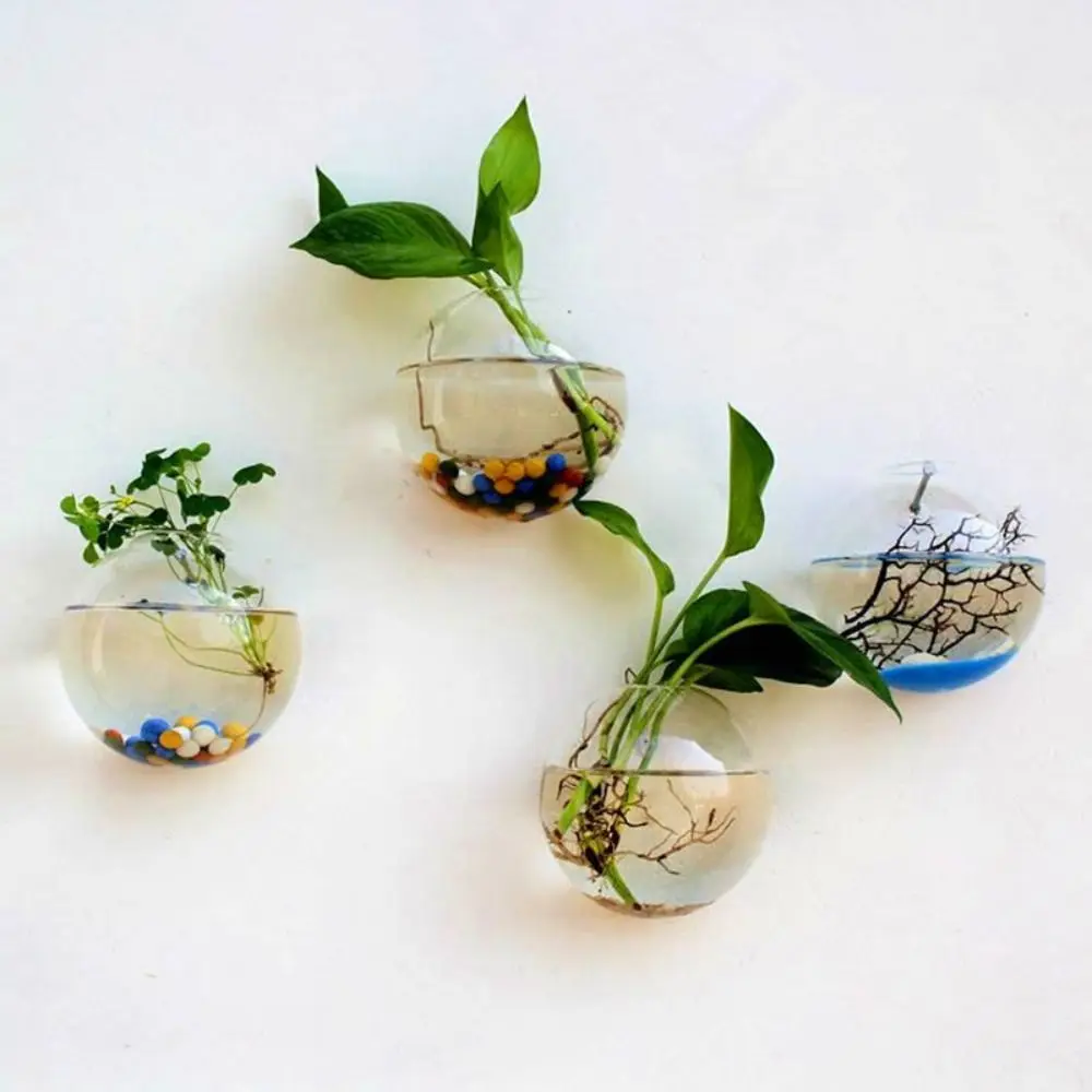 Plant Container Wall Mounted Vase Fish Tank Micro Landscape Ecological Bottle Flower Pot 8/10/12/13/15cm Semi Circular