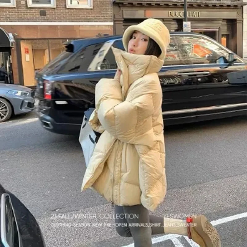 

Harajuku Y2K уличные парки пальто женское осенне-зимнее теплое пышное пальто с длинными рукавами свободная повседневная флисовая толстая верхняя одежда с воротником-стойкой