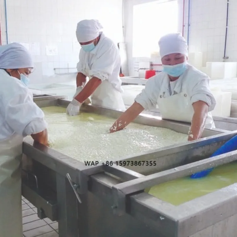 Small Mozzarella Cheese Production Line Mozzarella Cheese Making Machine Cheese Vat