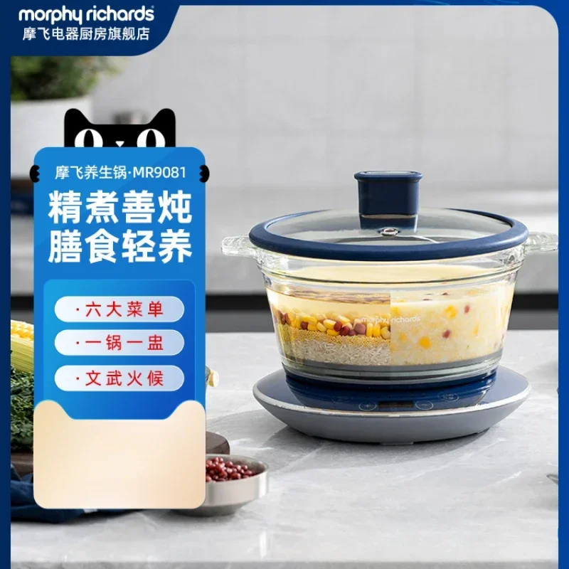 220V Multi-functional Electric Stewpot for Home Use with Health Maintenance Function