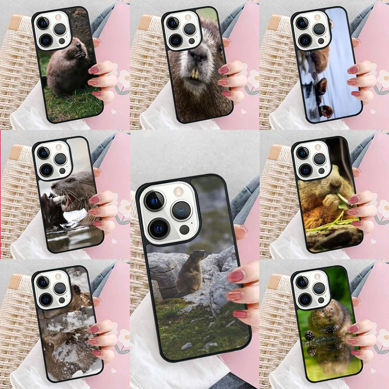 Animal Beaver Soft Phone Case Cover for iPhone 16 Promax 15 Pro 13 14 Plus 11 12 Mini XR XS MAX Coque