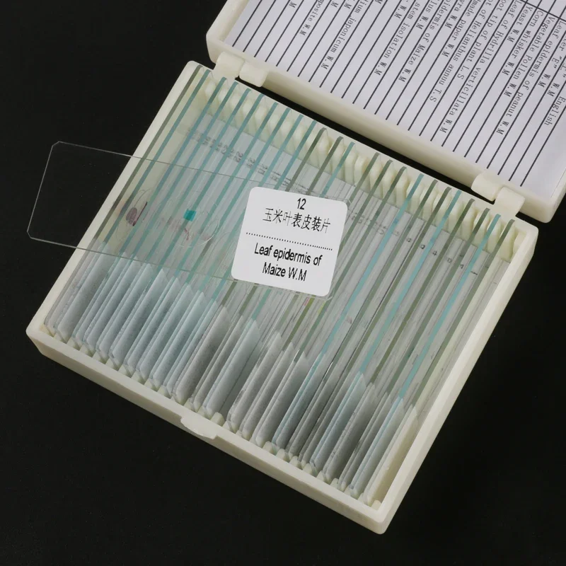 Lames en verre pour Microscope biologique préparées, différents types, pour étudiants, éducation des sciences biologiques, étude