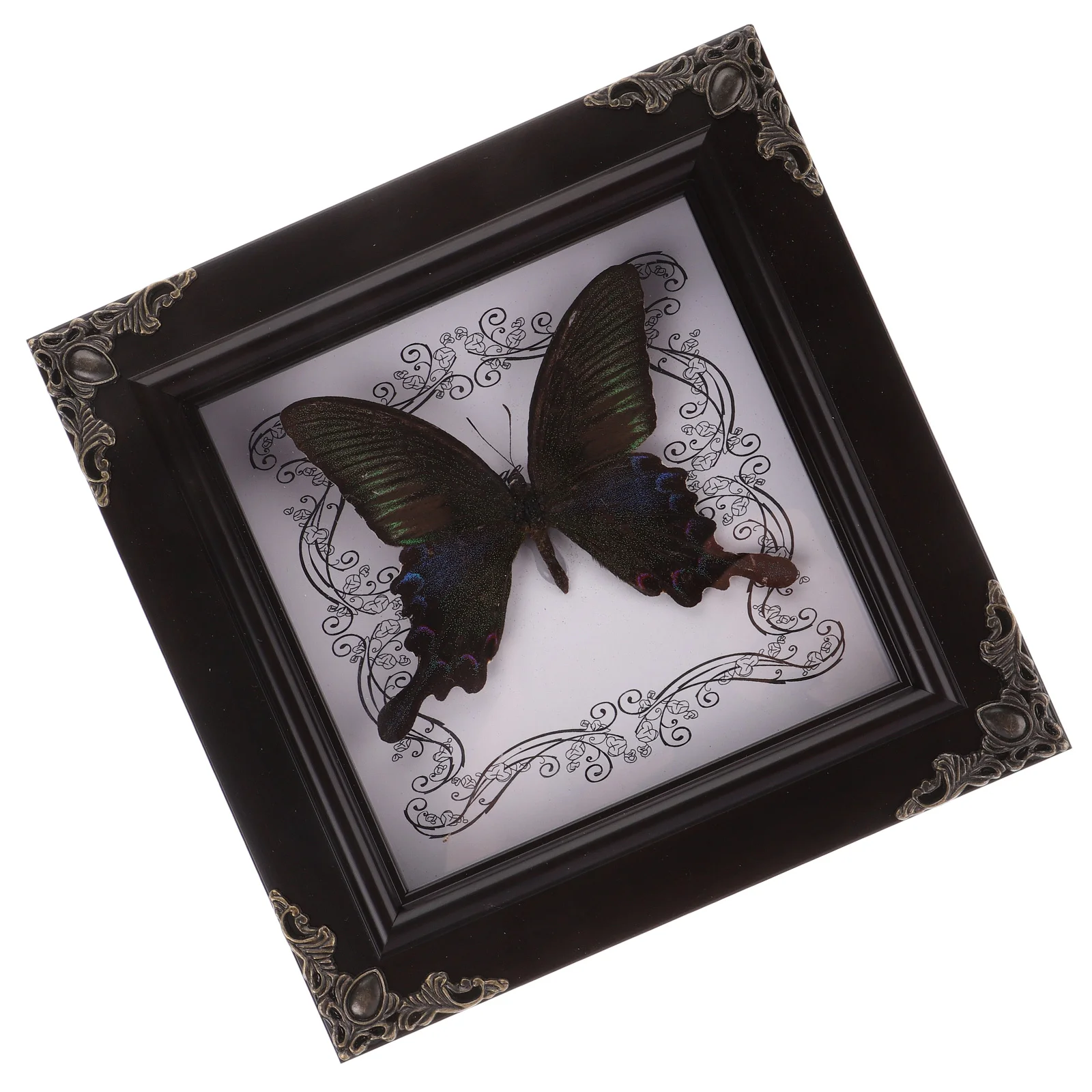 

Butterfly Specimen Photo Frame Display Case Decorate Stand Desk Ornaments Acrylic Plastic Home Decorations Frames