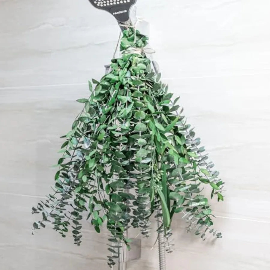 

3kinds Natural Eucalyptus Stems 24PCS - 17inch Eucalyptus Set for Shower Bundle Real Eucalyptus Leaves Branches Vase Filler, Dr