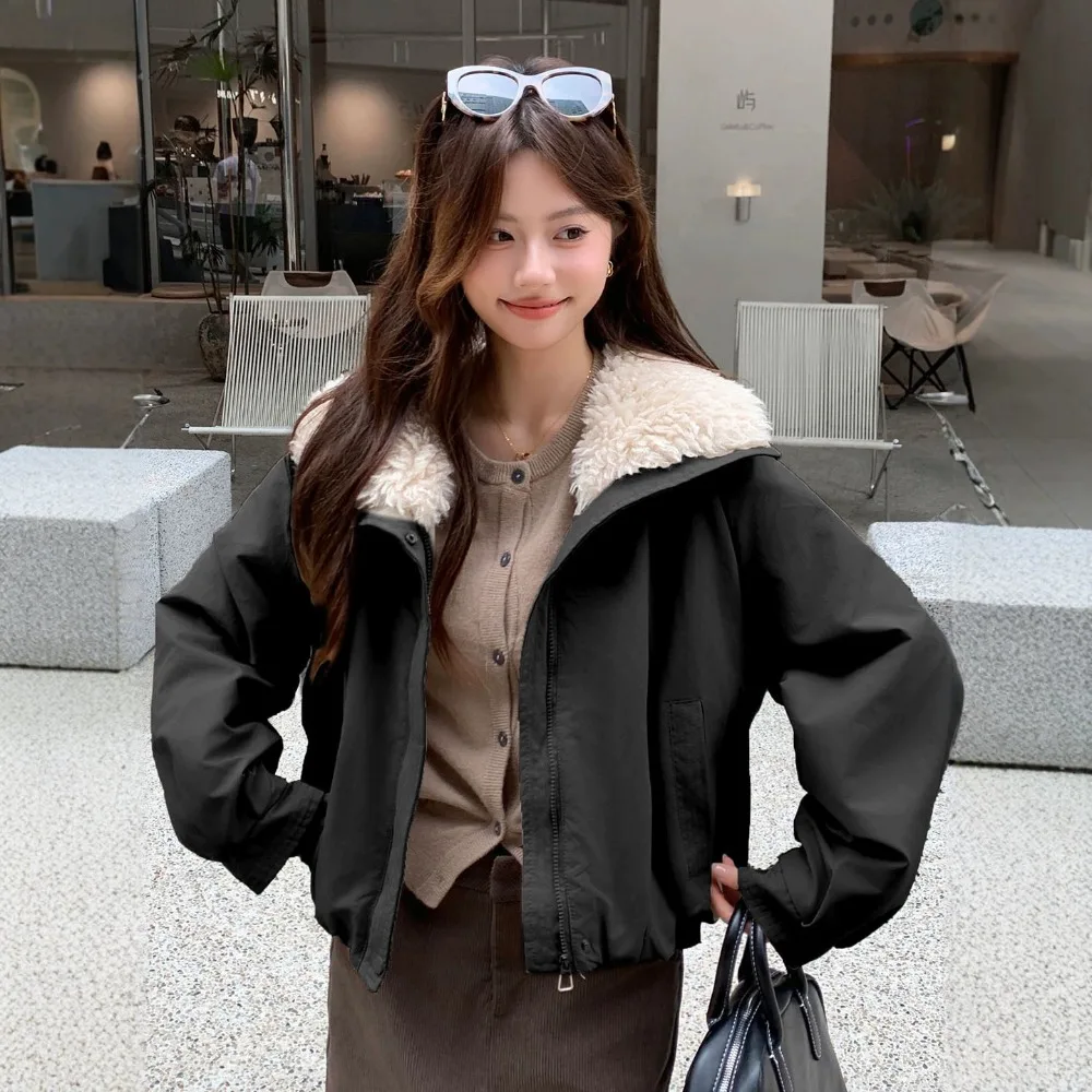 Imitation Lamb Wool Lapel Collar Short Tooling Fleece Thickened Pie Overcome Coating Women's Winter Small Jacket Texture Unique