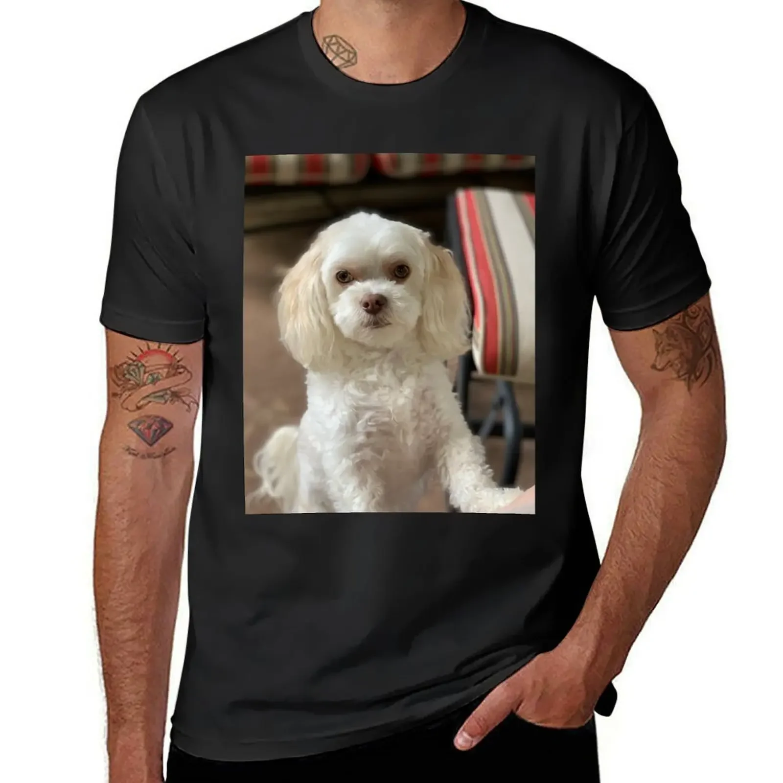 Maltipoo wants T-Shirt anime tshirt aesthetic clothes for a boy customs design your own mens graphic t-shirts pack