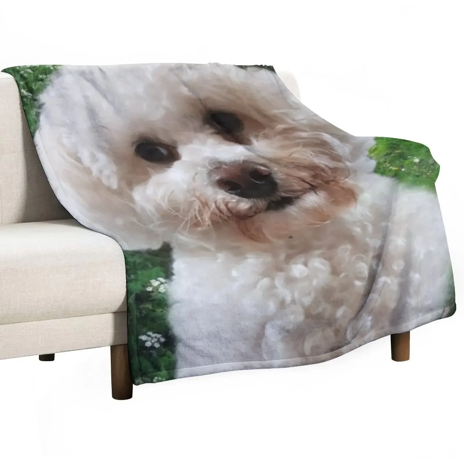 

Cavachon Throw Blanket Cute Plaid Designers Blankets