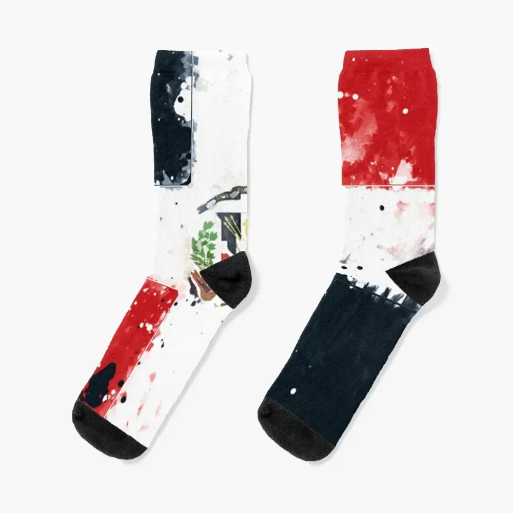 Dominican Republic Grunge Flag Socks funny gift fashionable cycling FASHION Socks Women Men's