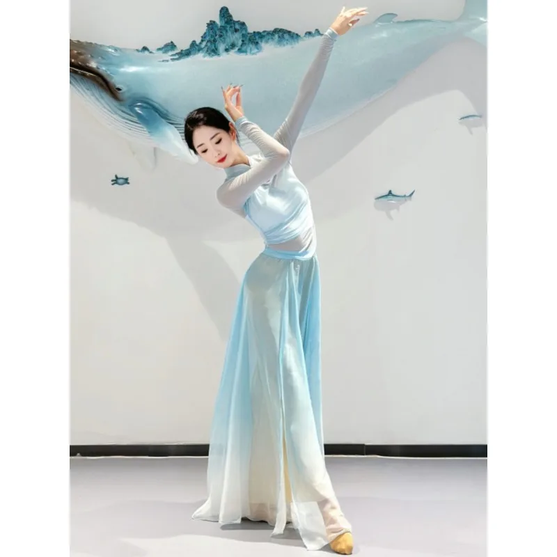 Classical Dance Stand Collar Stretch Gauze Blue Dance Practice Costume Ethnic Pants Skirt Flowing Women's Performance Costume