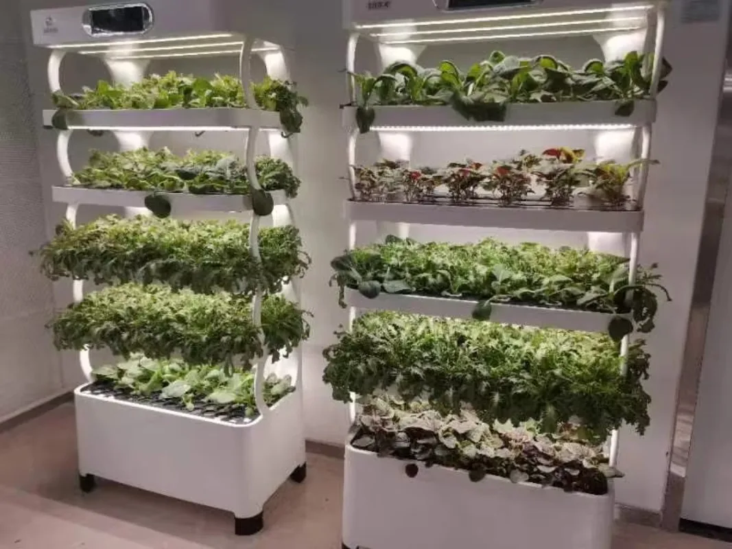 زراعة حديقة الزراعة معدات الزراعة المائية للري التجاري لنمو النباتات الداخلية