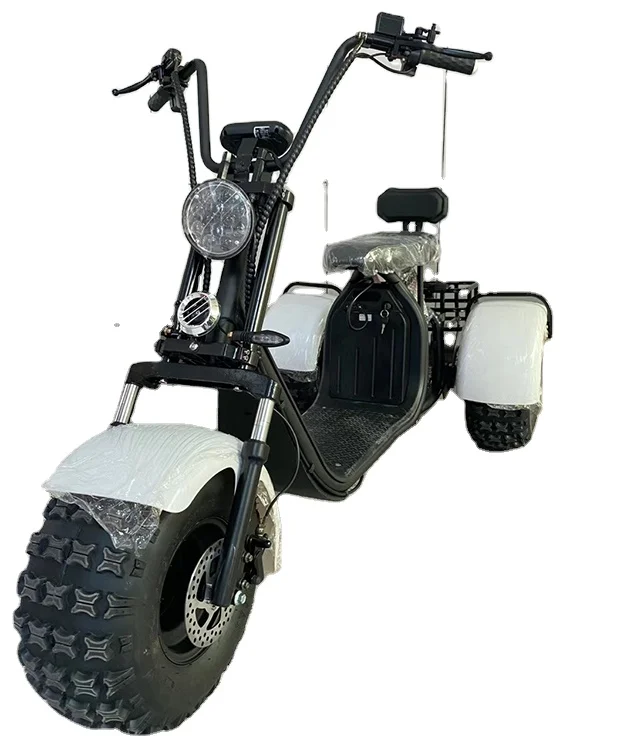 Cool design 1500w/2000w beach car scooter fat tire 3 ruote triciclo elettrico citycoco