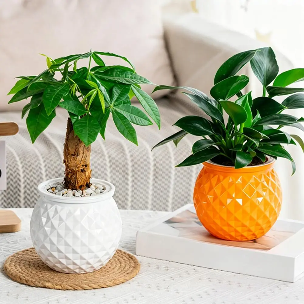 Plant Pot Self Watering Flowerpot Clear Bottle Water Level View Self-Absorbing Cotton Rope Planter Double-Layer Flower Pot