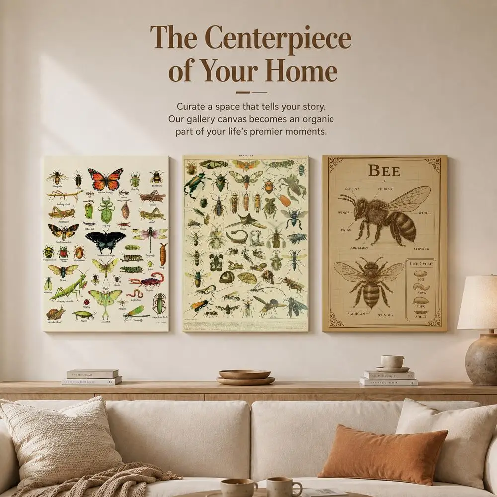 Retro Chart Entomology Education Framed Wall Painting Wood Canvas Poster For Living Room Bedroom Hallway Office Home Decor Gift