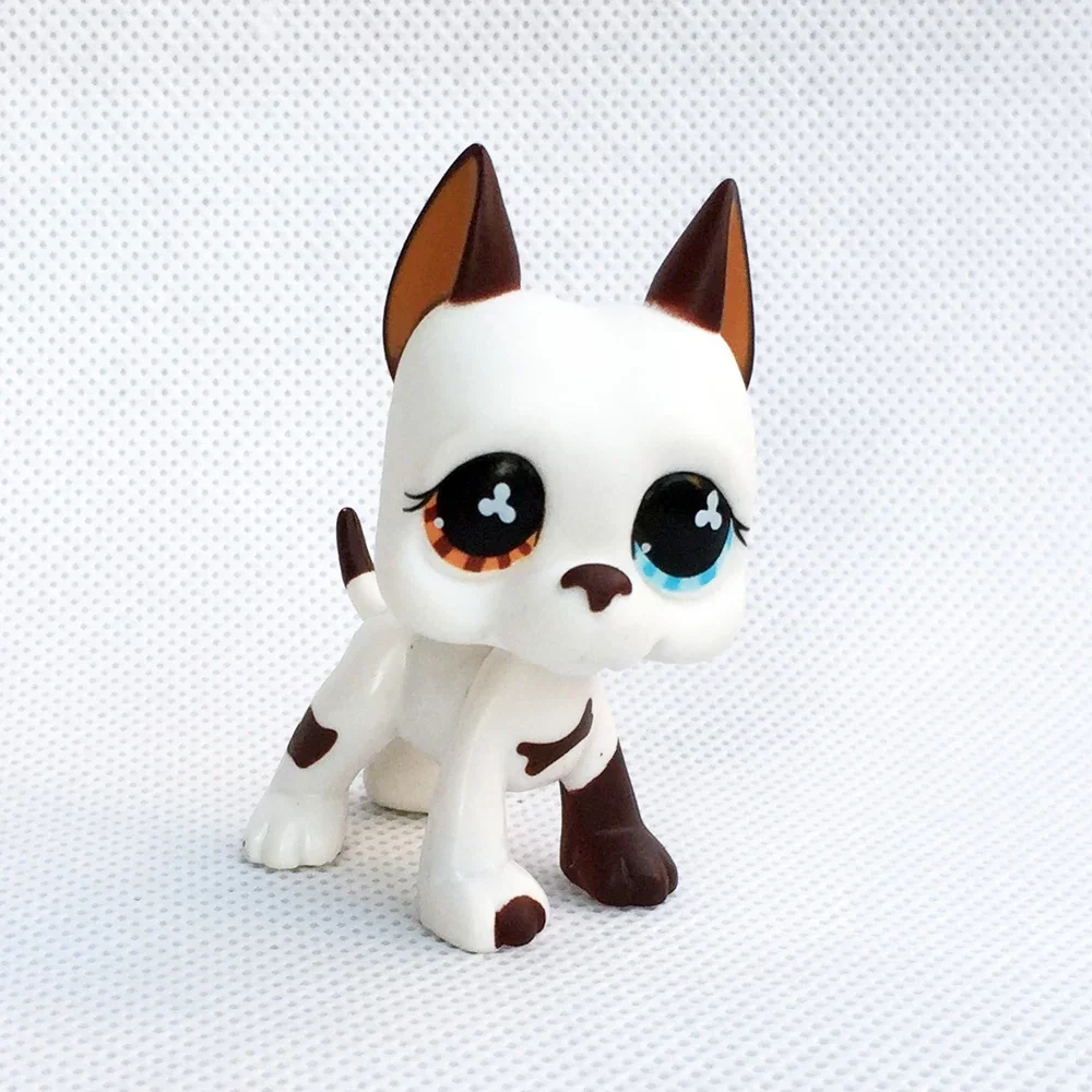 Raro littlest pet shop brinquedo stands cabelo curto gatinho cão dachshund collie spaniel great dane original bobble cabeça brinquedo lps