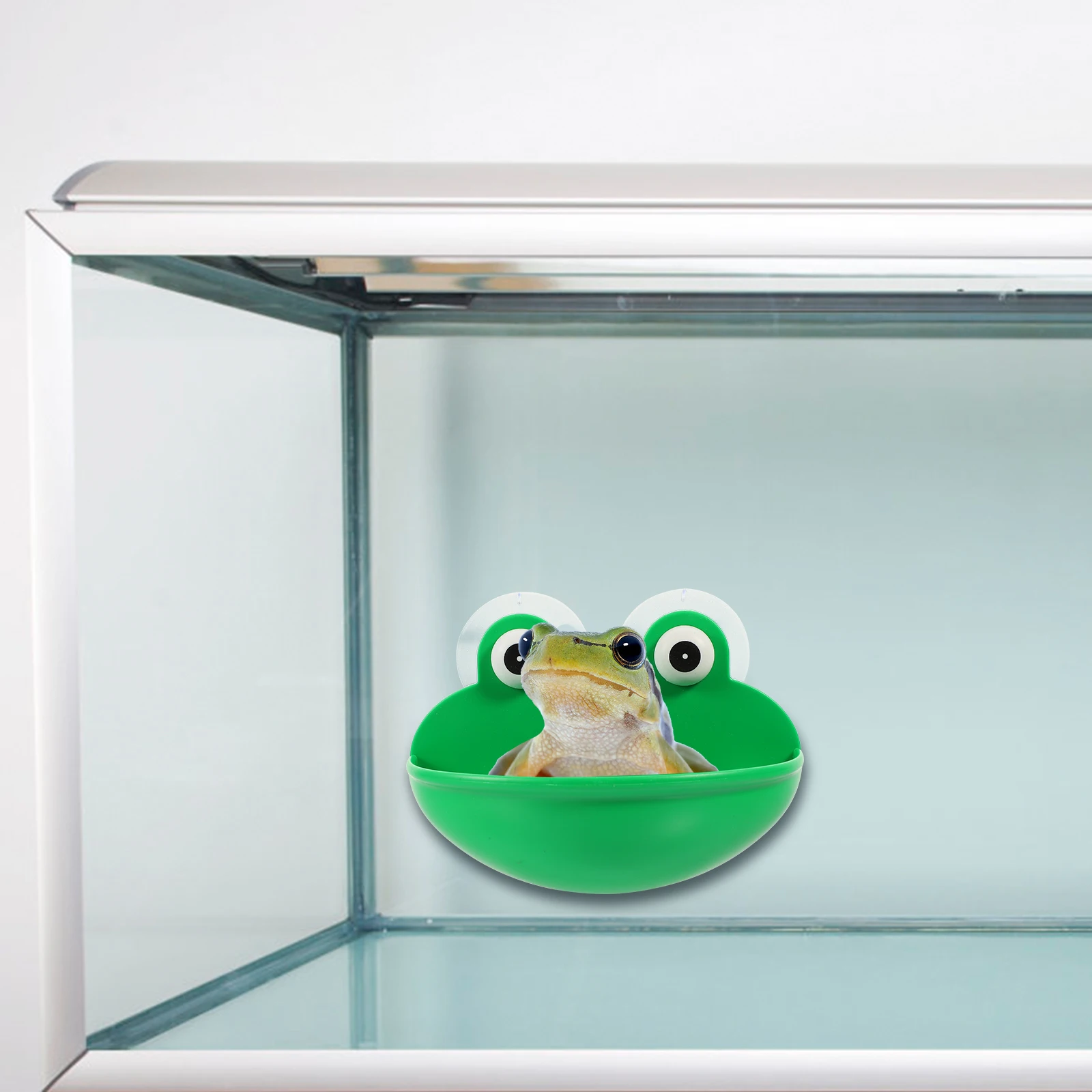 

2Pcs Reptile Rest Table Amphibian Pet Basin Terrarium Accessories Durable Material Cozy Environment Plastic nament