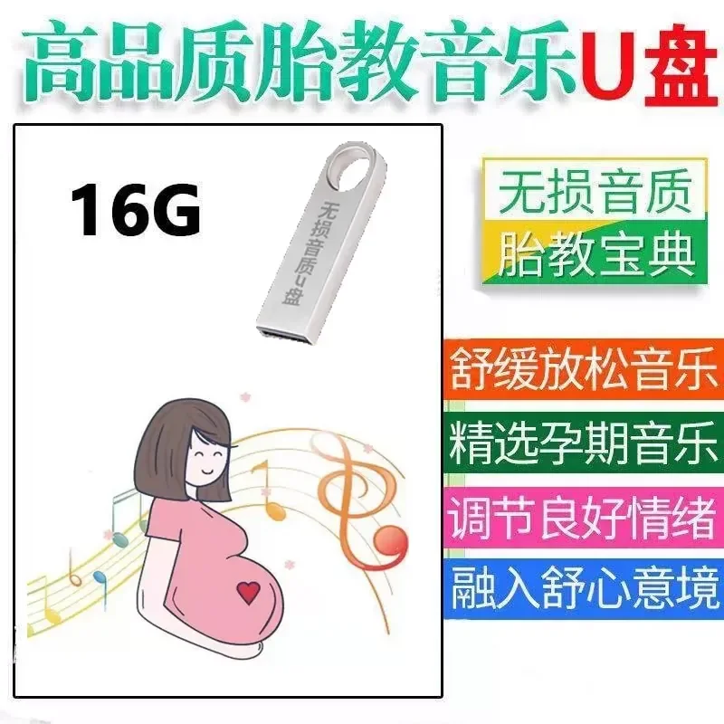 Classical Music USB Flash Drive Beethoven Mozart World Famous Songs for Pregnant Women Belly Prenatal Education Pure Music