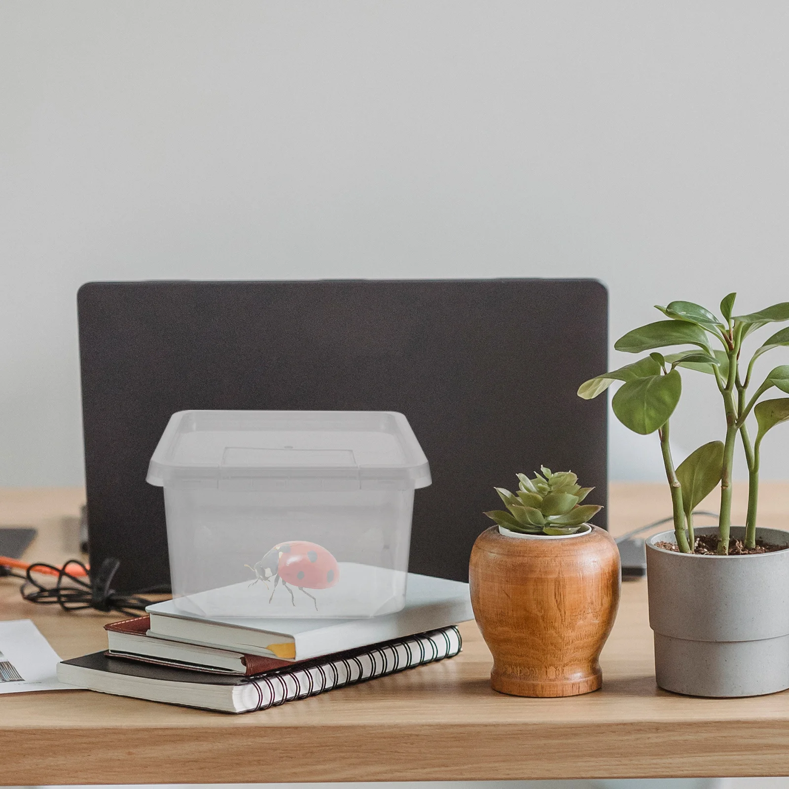 

Spider Box Transparent Reptile Feeding Container With Breathable Holes Durable Insect Terrarium For Gecko Lizard Frog