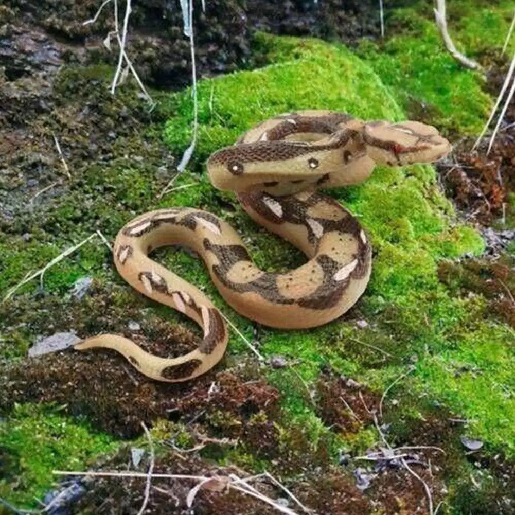 واقعية وهمية الأفعى لعبة المطاط الكمامة اللعب بيثون الأفعى عمل الشكل لجميع القديسين المزحة الدعائم عالية محاكاة ثعبان نموذج