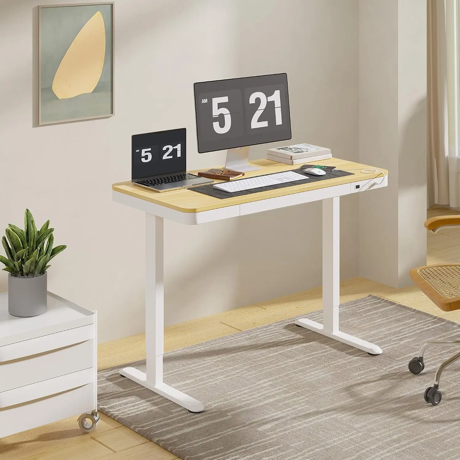Electric Standing Desk with Drawers & USB Ports, Quick Assembly Height Adjustable Desk with Child Lock, 48