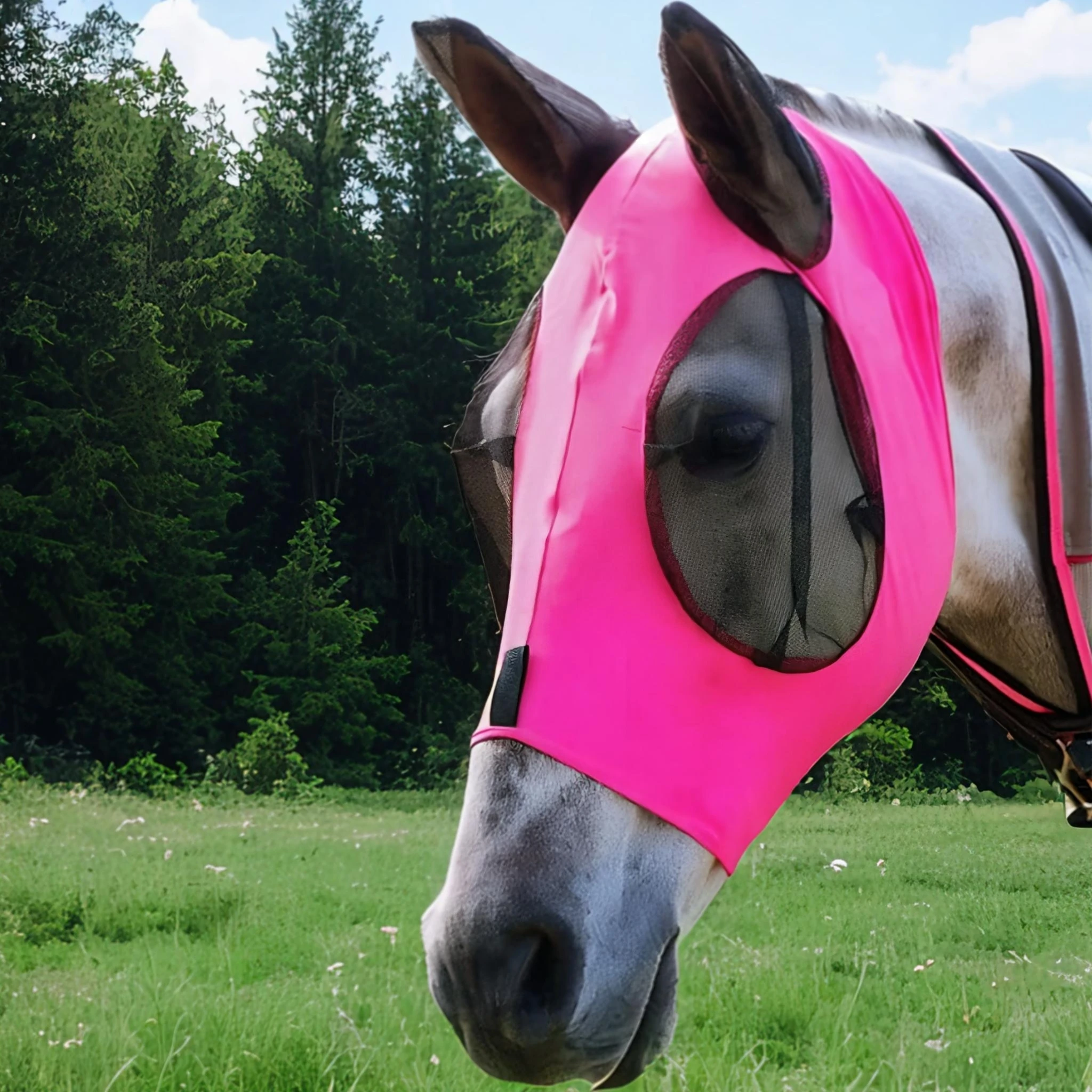 New Variety of Options Breathable Horse Mask Equestrian Supplies Mosquito-proof Fly-proof Horse Head Horse Mask