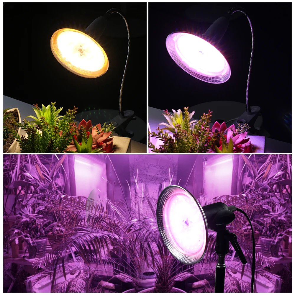 220V E27 Full Spectrum Grow Light 8W 24W 3000K For indoor Vegetable Flower Seedling 48Pcs For Greenhouse Plant Growth