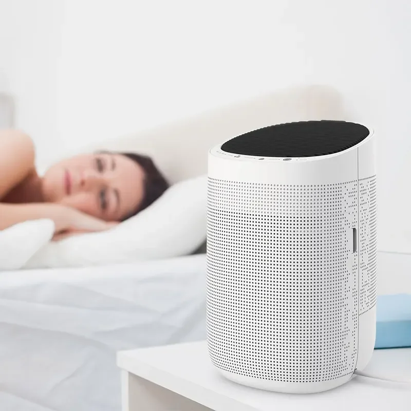

Commercial Hotel Desktop Portable Mini Smart Duct Air Purifier And Dehumidifier