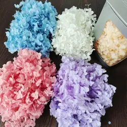 1 Box Preserved Dried Flower Long-lasting Natural Fresh Hydrangea Flower Heads DIY Eternal Life Flowers Material Wedding Favors