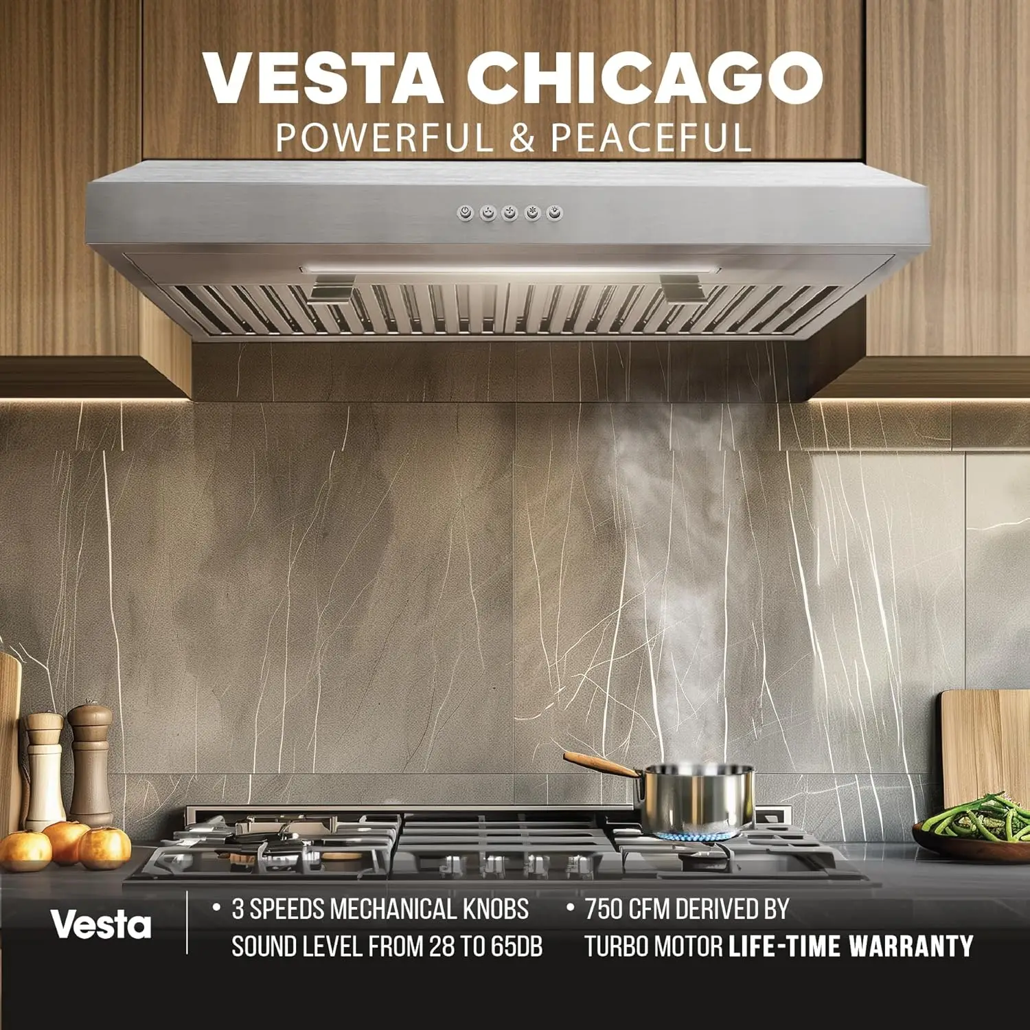 750CFM Powerful 30'' Under Cabinet Range Hood With Seamless Stainless Steel Body, Single Motor, 3 Speeds Mechanica