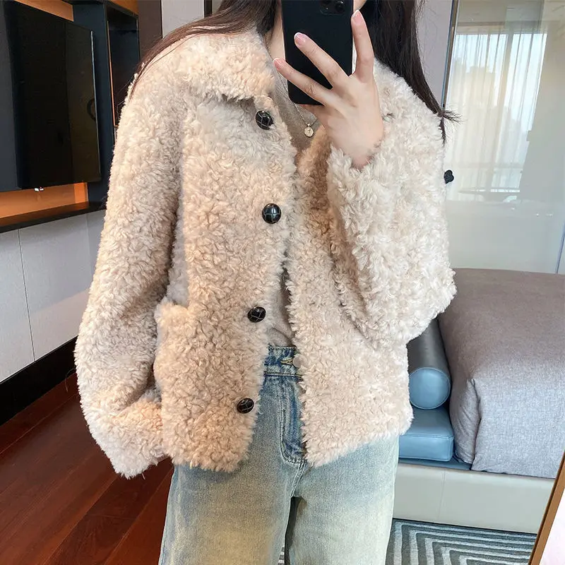 

New Lamb Fur Coat for Women, Autumn and Winter Thick Fur Coat, New Plush Top, Lazy Style