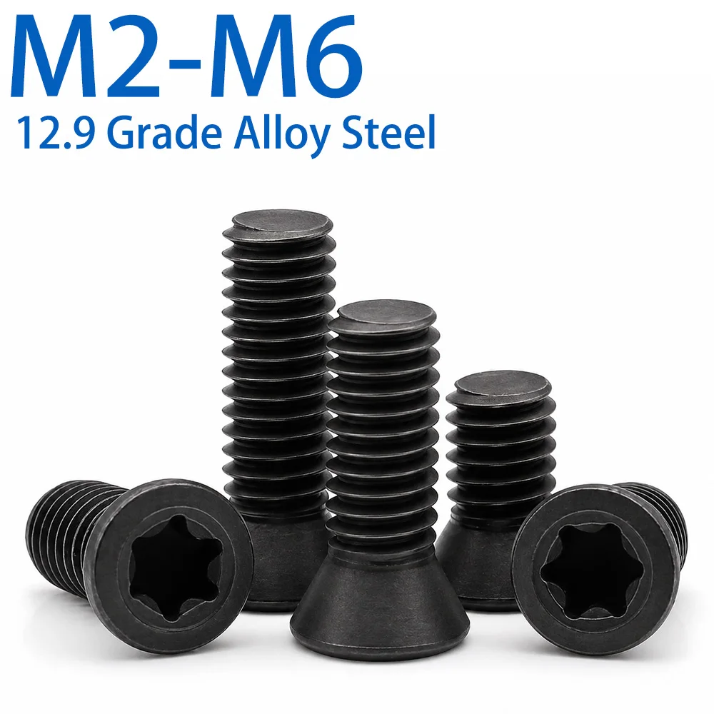12.9 Grade Alloy Steel Torx Screws CNC Tool Holder Milling Cutter Insert Screws M2 M2.2 M2.5 M3 M3.5 M4 M4.5 M5 M6
