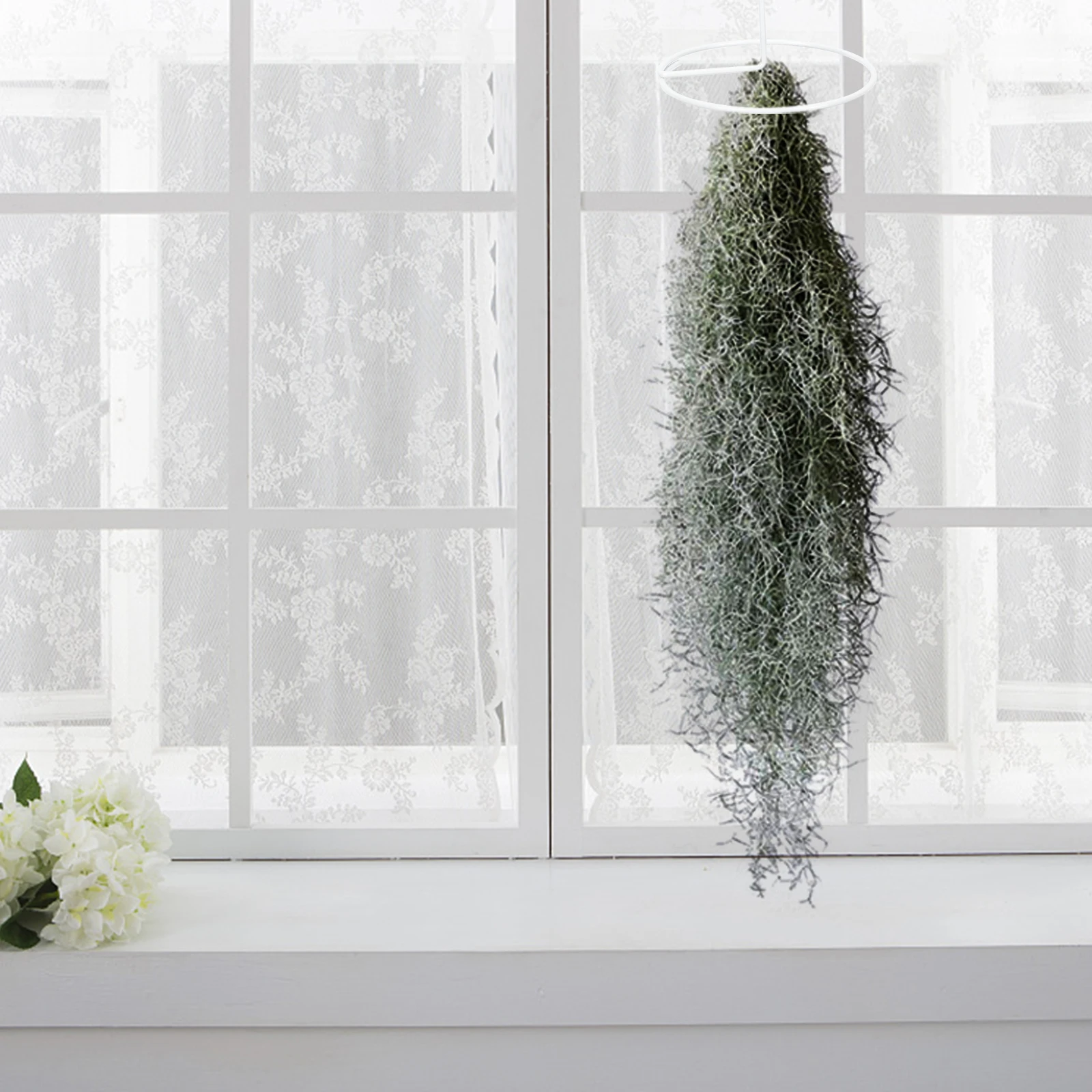 Air Plants Hook Pineapple Planter Holder Strong Craftsmanship Clean Home Office Display Modern Design Tillandsia