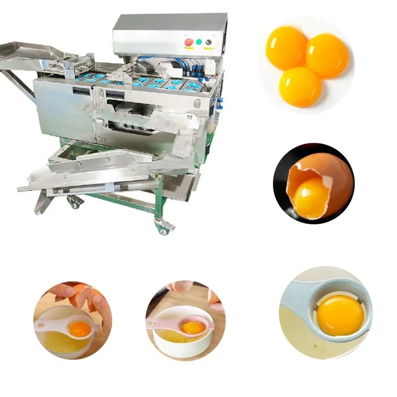 Factory Direct Sales of High-Quality Stainless Steel Egg White and Yolk Separator FL Customized
